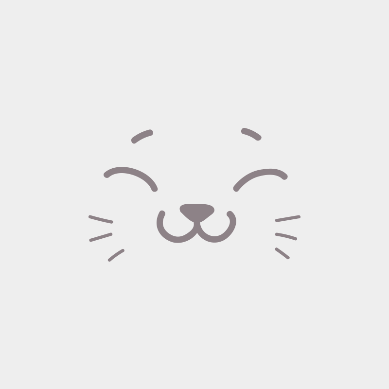 Althesse DE L'OR SAUVAGE Femelle Maine coon