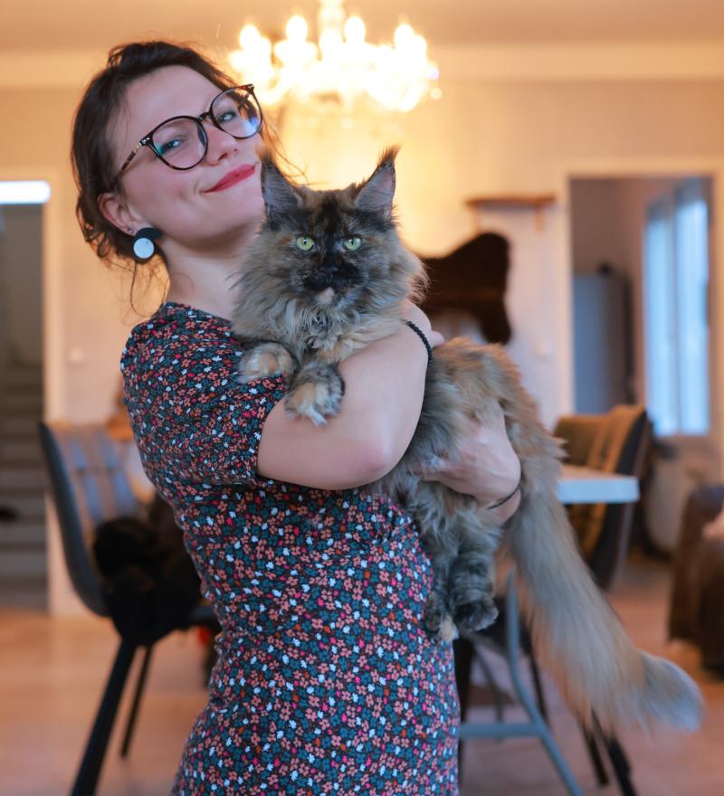 YOKO de L'Or sauvage Femelle Maine coon