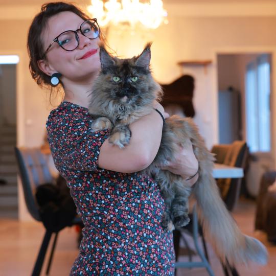 chat Maine coon black tortie smoke YOKO Elevage de maine coon L'Or sauvage