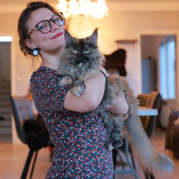 chat Maine coon black tortie smoke YOKO Elevage de maine coon L'Or sauvage